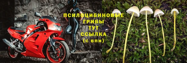 твердый Богородицк