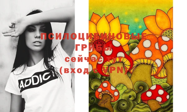 твердый Богородицк