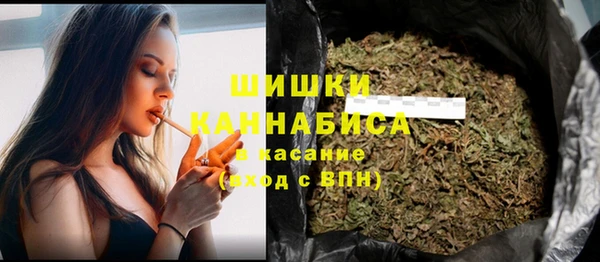 твердый Богородицк