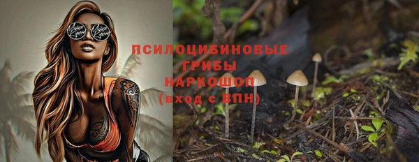 твердый Богородицк