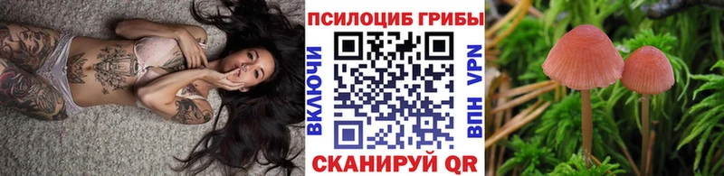 Псилоцибиновые грибы Cubensis  продажа наркотиков  ОМГ ОМГ как зайти  Киренск 